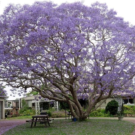 Ecotel Narooma North Narooma Eksteriør bilde
