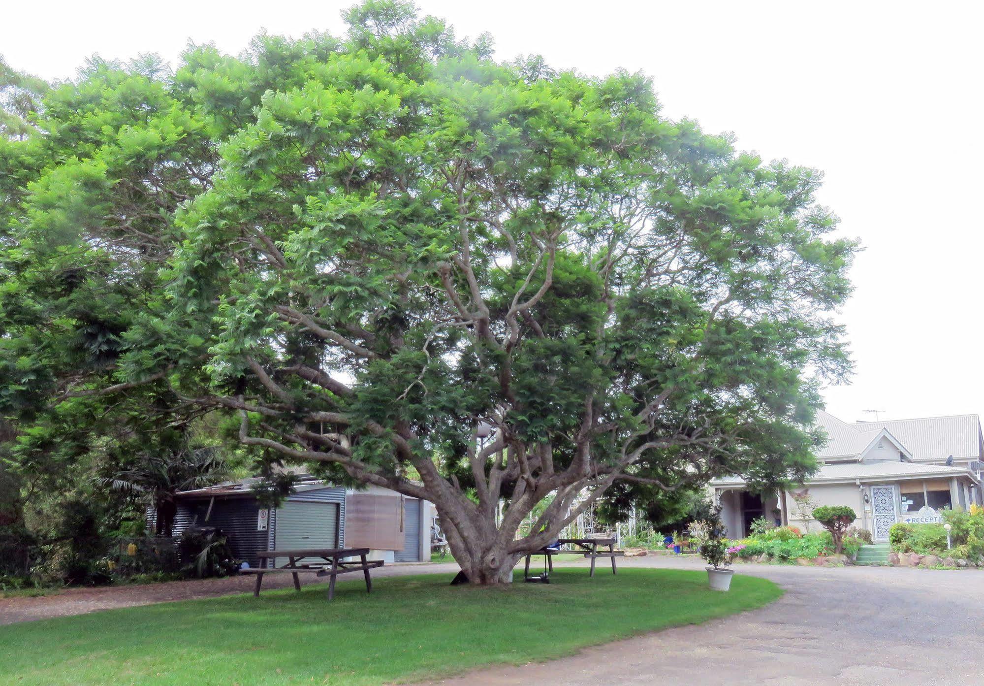 Ecotel Narooma North Narooma Eksteriør bilde