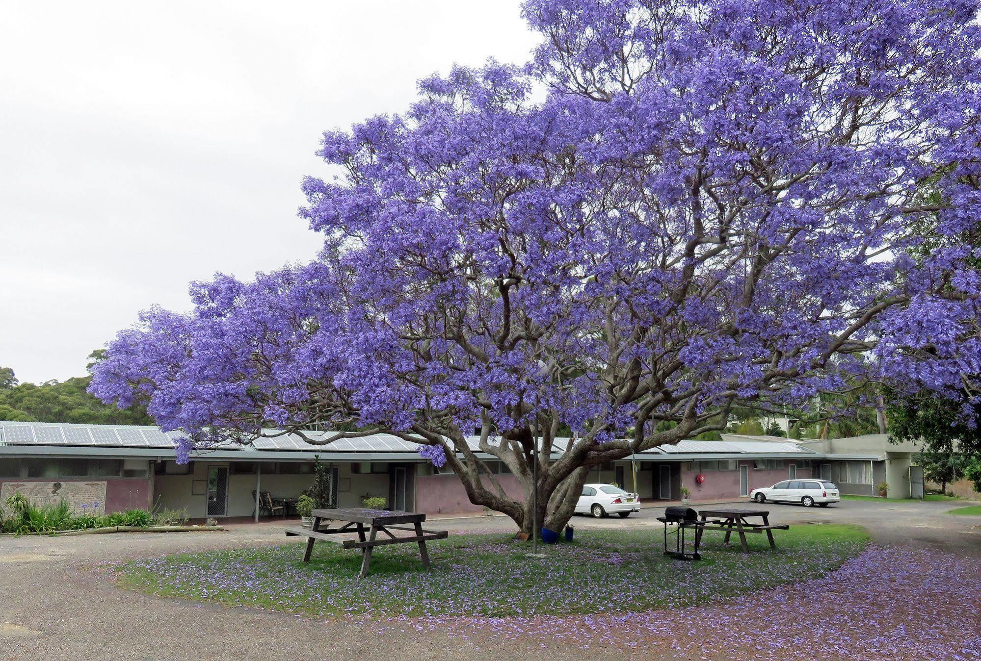Ecotel Narooma North Narooma Eksteriør bilde
